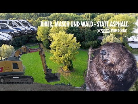 Biber, Masch und Wald – Statt Asphalt | XR Hannover